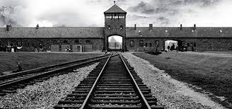 Auschwitz Aufkl�rung